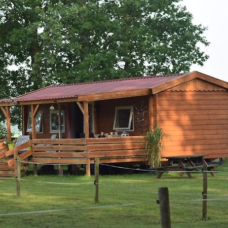 Tiny House Het Reebokje Leilighet Vriescheloo Eksteriør bilde