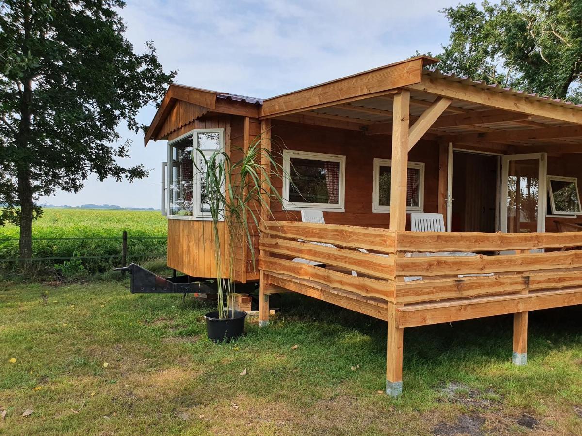 Tiny House Het Reebokje Leilighet Vriescheloo Eksteriør bilde