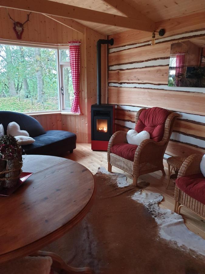 Tiny House Het Reebokje Leilighet Vriescheloo Eksteriør bilde