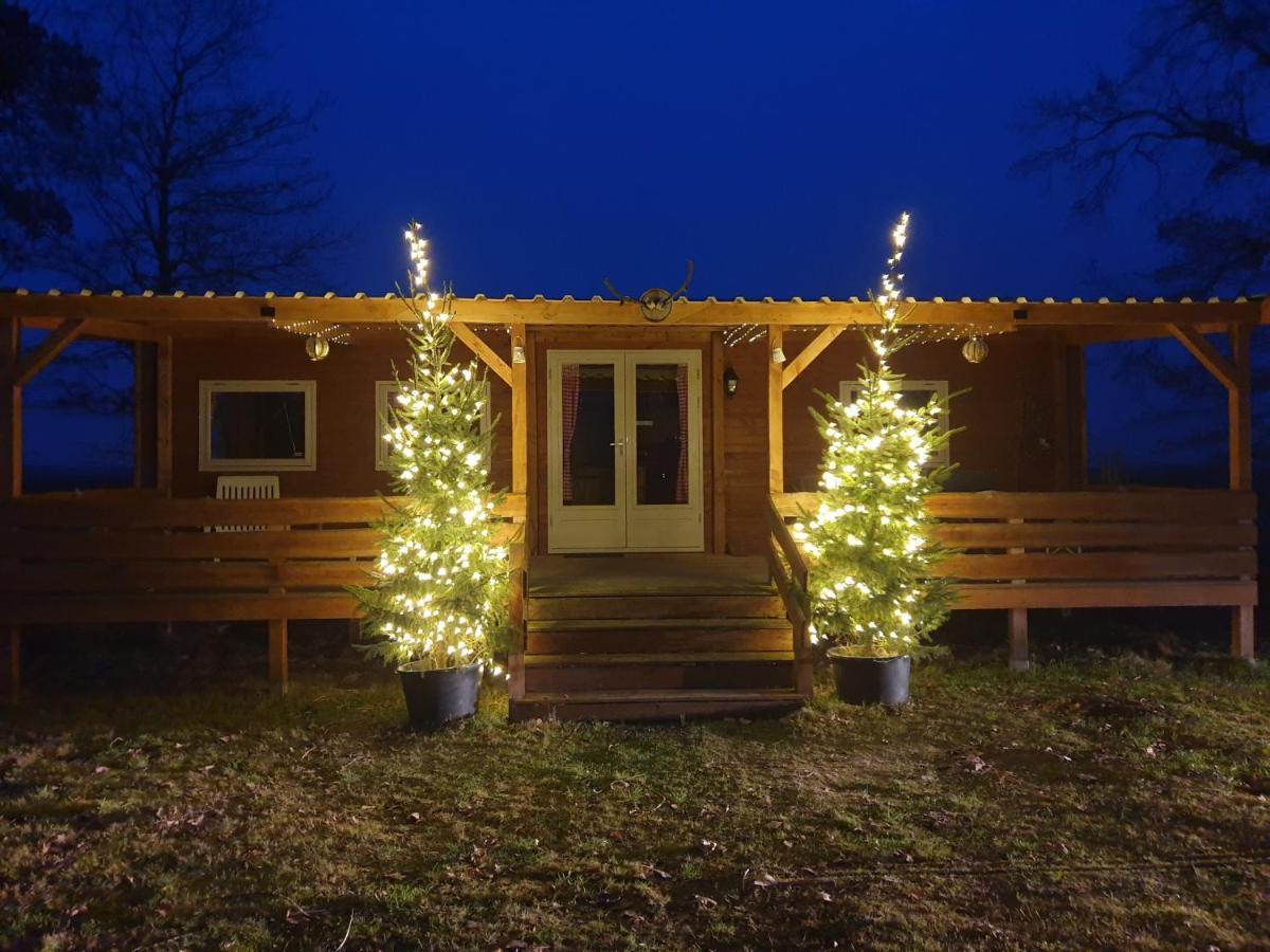 Tiny House Het Reebokje Leilighet Vriescheloo Eksteriør bilde